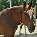 Aiceltis 4* Teolo