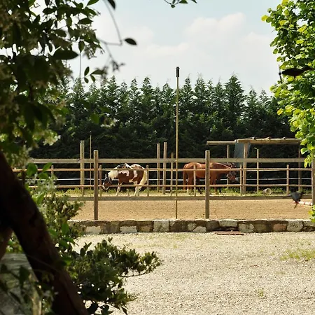 Bed & Breakfast Aiceltis 4*