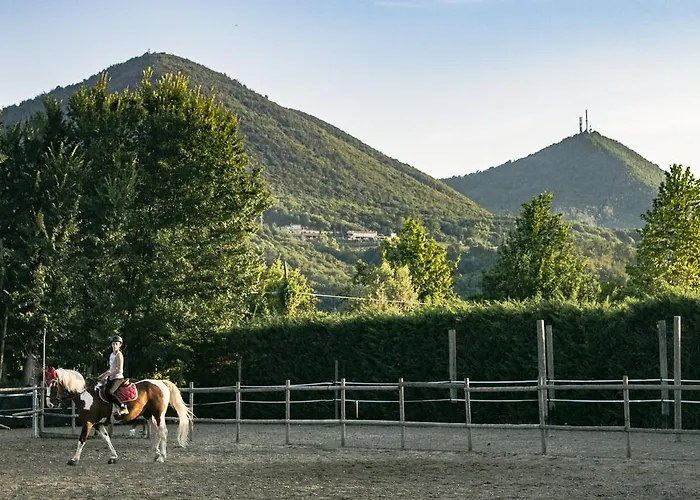 Aiceltis 4* 테올로