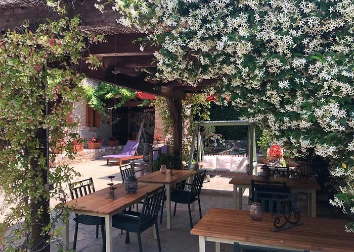 Aiceltis B&B 테올로