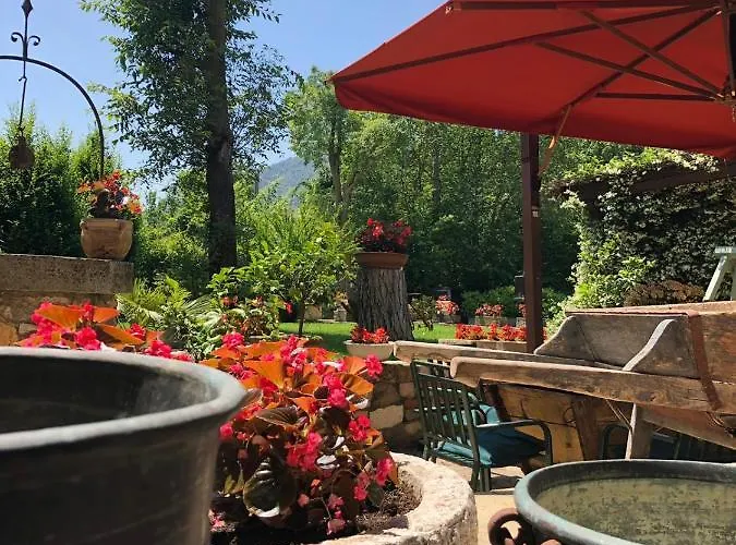 B&B Aiceltis 테올로