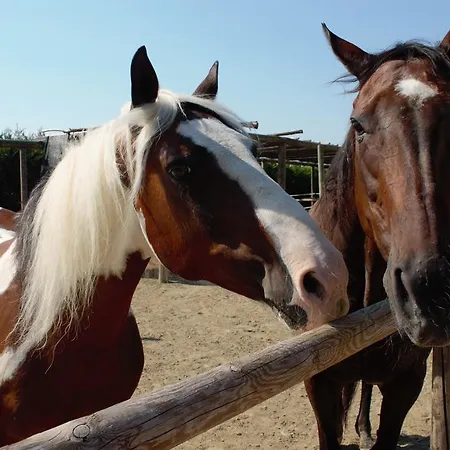 Aiceltis Bed and Breakfast